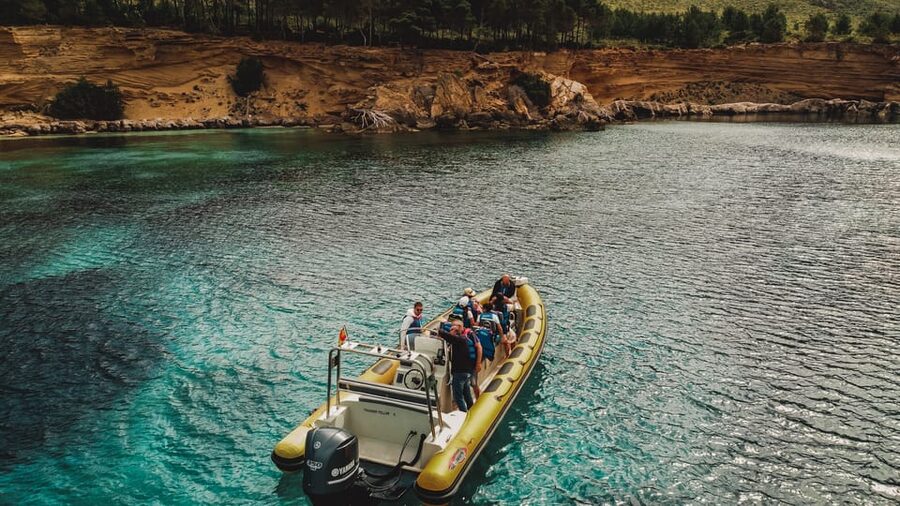 From Can Picafort: Dolphin Watching and Cave Boat Trip - The fast run toward Mallorca’s dolphins