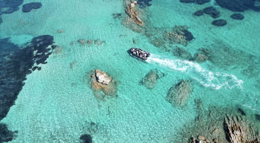 From Cannigione: La Maddalena Archipelago Boat Trip - Quick facts about the Virginia boat day