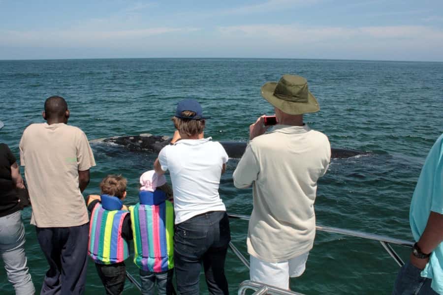 From Cape Town: Hermanus Whale Watching Boat Trip - Gansbaai harbor and the route toward De Kelders