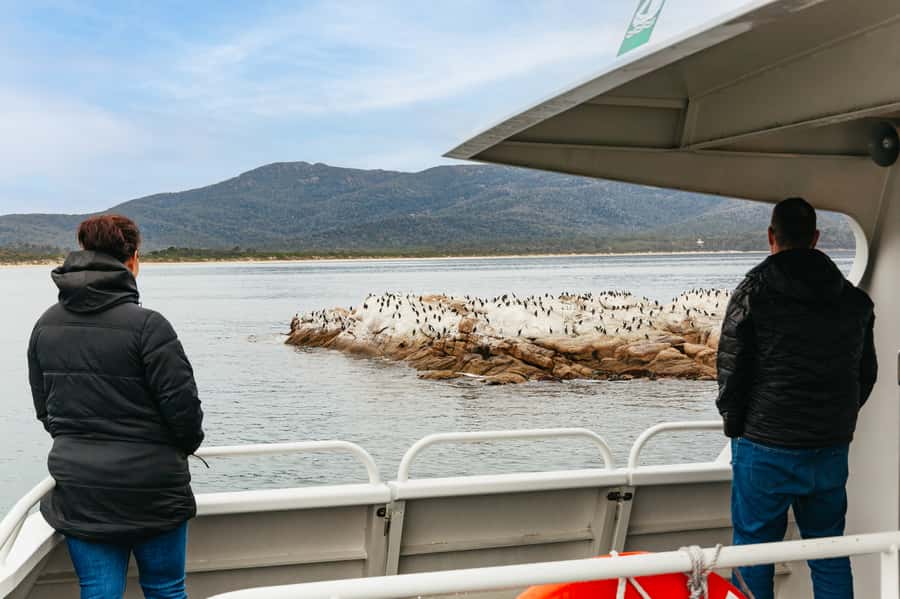 From Coles Bay: Wineglass Bay Cruise with Lunch - Wildlife watching without a wildlife guarantee
