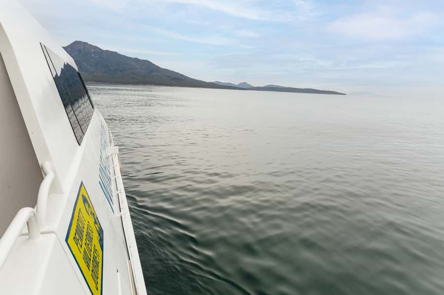 From Coles Bay: Wineglass Bay Cruise with Lunch - A crew that earns its place on the boat