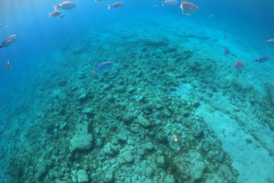 From Corralejo: Lobos Island Boat and Snorkel Activity - La Concha Beach, seven minutes from the landing