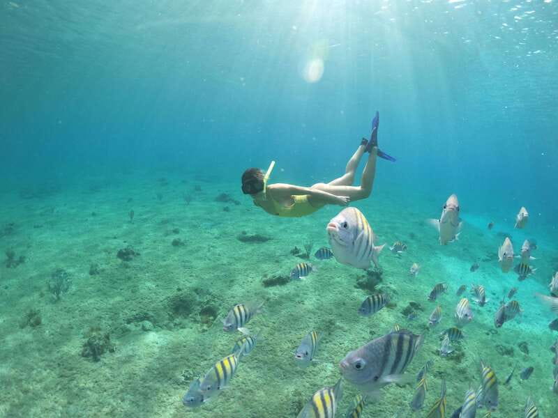 From Cozumel: 3 Reefs Boat Tour with Drinks and Snorkeling - Drinks, ceviche, and the welcome final stop