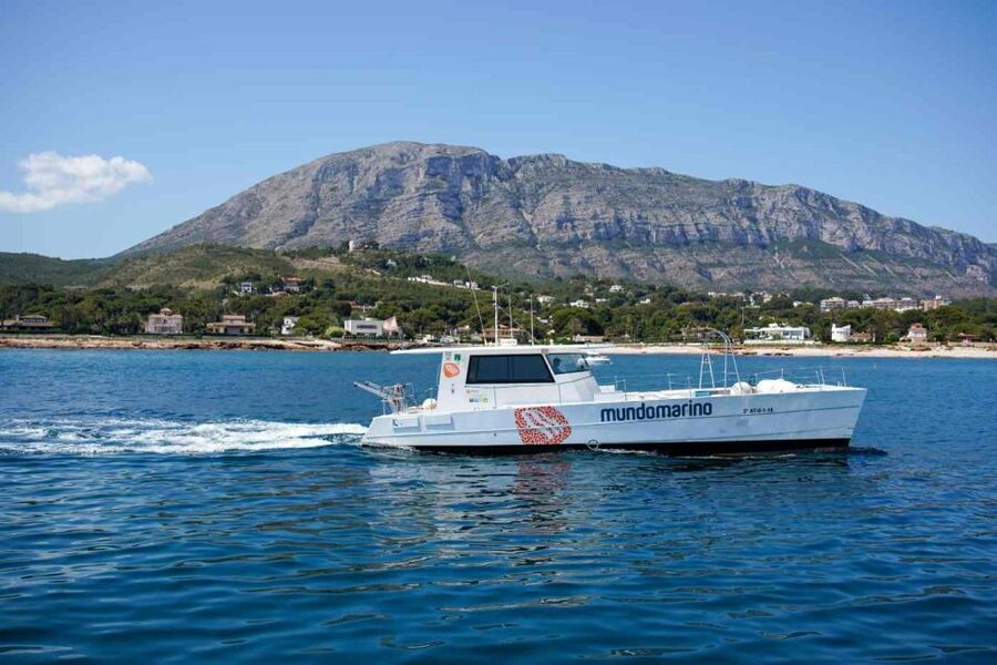 From Denia: Boat Trip to Tallada Cave with Optional Swim - Should you book the Tallada Cave cruise?