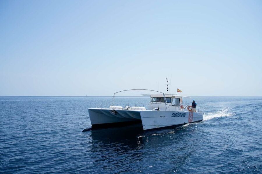 From Denia: Boat Trip to Tallada Cave with Optional Swim - The Dénia Marine Reserve and the chance to swim