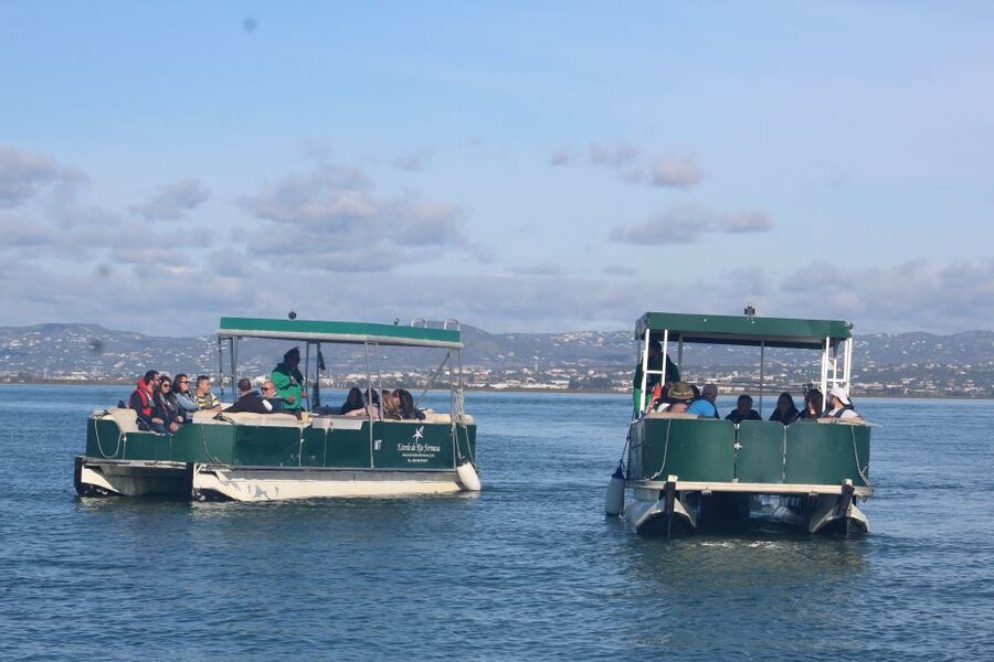 From Faro: 4 Stops, 3 Islands in Ria Formosa Catamaran Tour - Key points at a glance