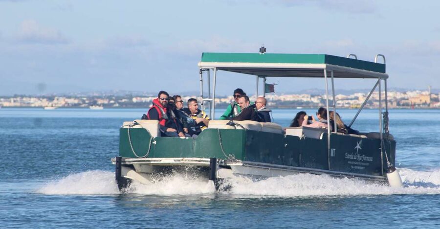 From Faro: 4 Stops, 3 Islands in Ria Formosa Catamaran Tour - Ilha Deserta: the quiet beach stop