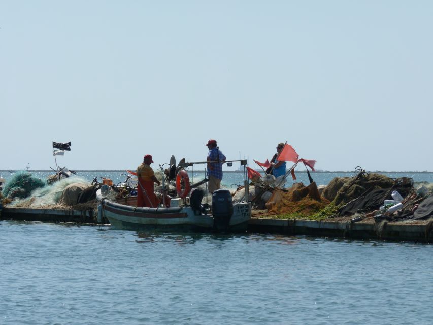From Faro: 4 Stops, 3 Islands in Ria Formosa Catamaran Tour - Ilha do Farol and its lighthouse