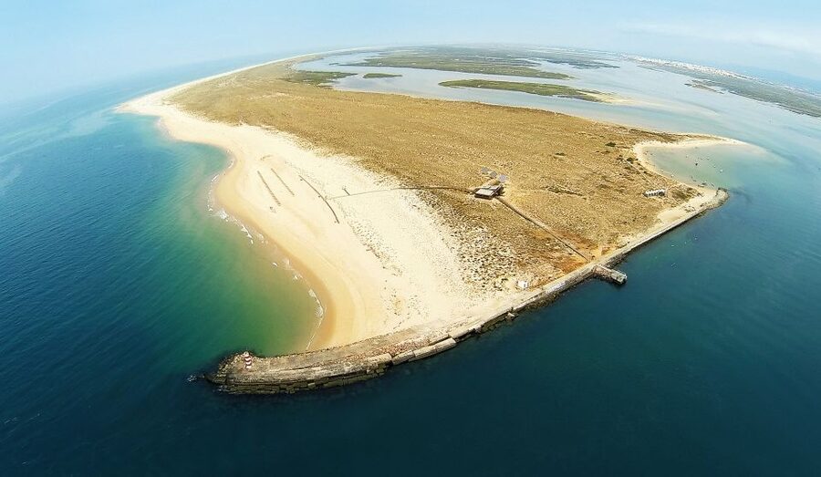 From Faro: Catamaran Boat Trip to Deserta Island with Stop - The two-kilometer boardwalk and dune walk