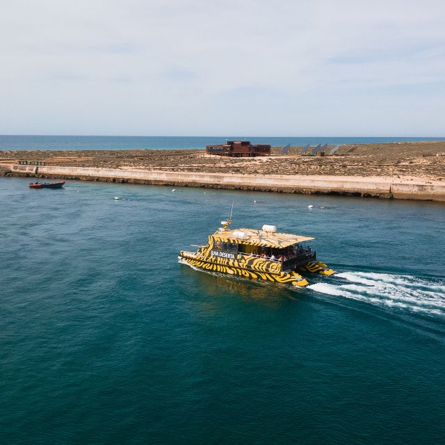 From Faro: Catamaran Boat Trip to Deserta Island with Stop - The 45-minute ride through Ria Formosa