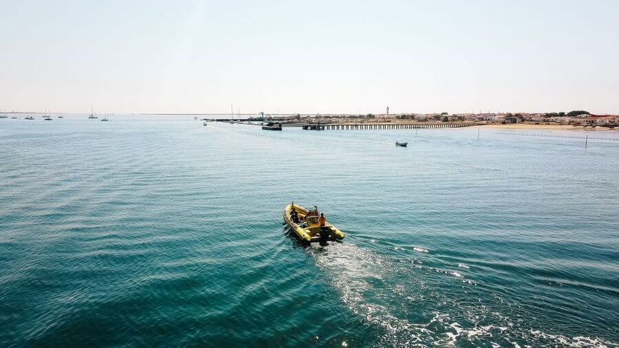 From Faro: Ria Formosa Hop-On Hop-Off 3 Islands Cruise - Farol Island: lighthouse, sea wall, and beach bars