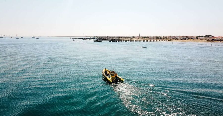 From Faro: Ria Formosa Hop-On Hop-Off 3 Islands Cruise - Desert Island: quiet sand and open space