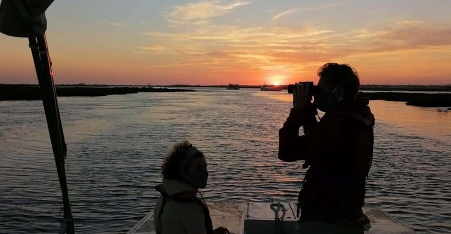 From Faro: Ria Formosa Sunset Boat Trip - Setting out from Faro’s Nautical Club