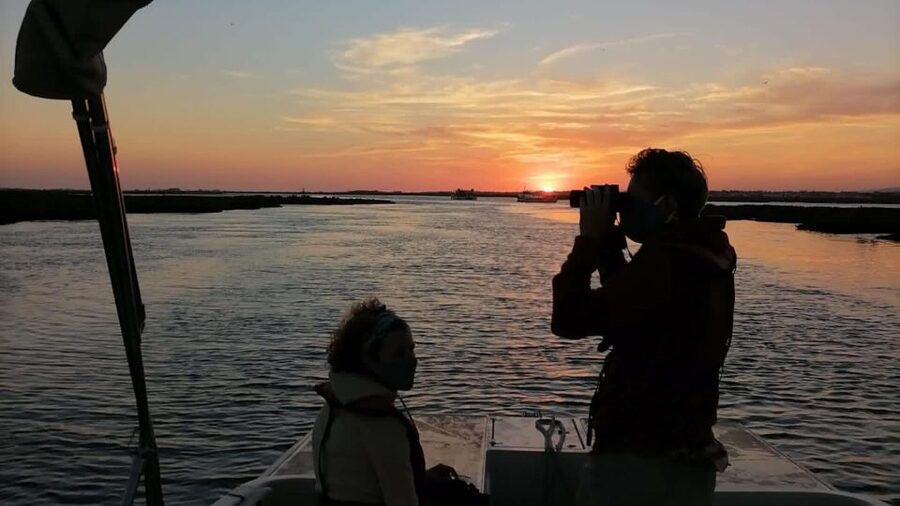 From Faro: Ria Formosa Sunset Boat Trip - Practical advice for a better evening