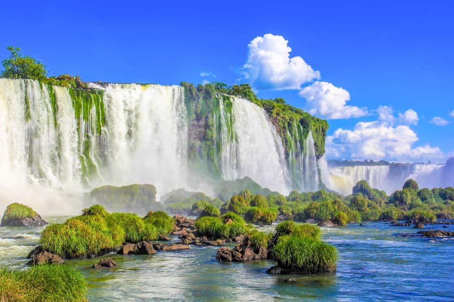 From Foz do Iguazu: Brazil Iguazu Falls & Macuco Safari Boat - The 3-kilometer electric ride through the forest