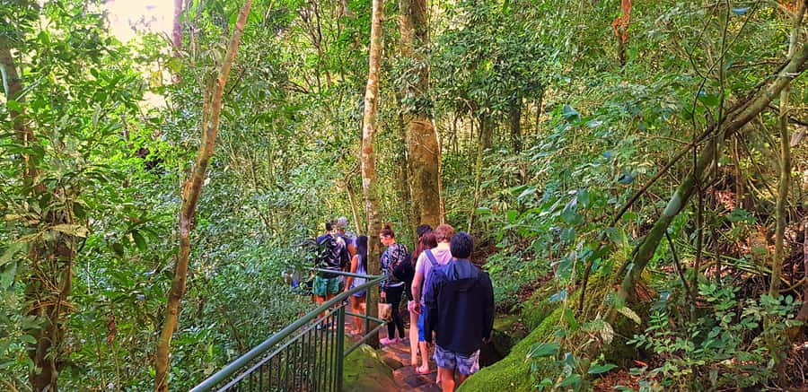 From Foz do Iguazu: Brazil Iguazu Falls & Macuco Safari Boat - Wet clothes are not optional planning
