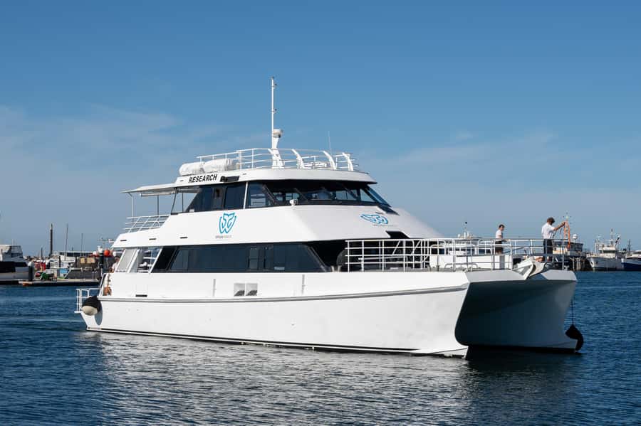 From Fremantle: 2-Hour Luxury Whale-Watching Cruise - Who should book the Steep Point cruise?