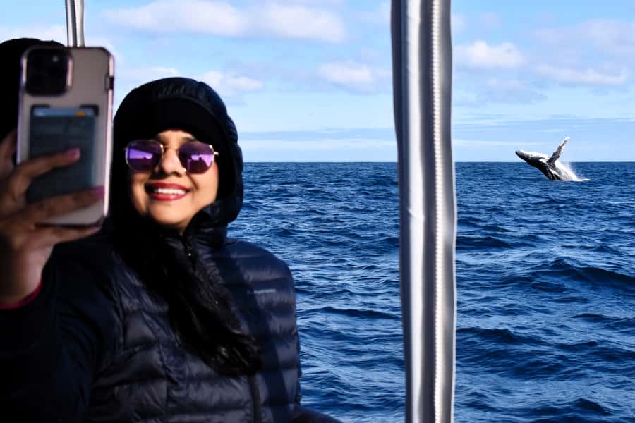 From Fremantle: 2-Hour Luxury Whale-Watching Cruise - Leaving Sardine Jetty in Fremantle Fishing Boat Harbour