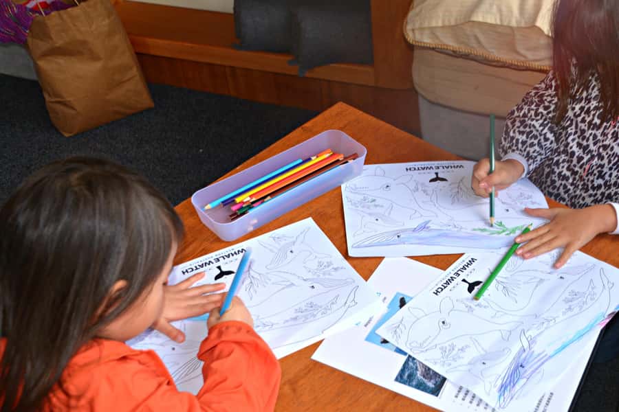 From Fremantle: 2-Hour Luxury Whale-Watching Cruise - Seasickness, weather, and the comfort question