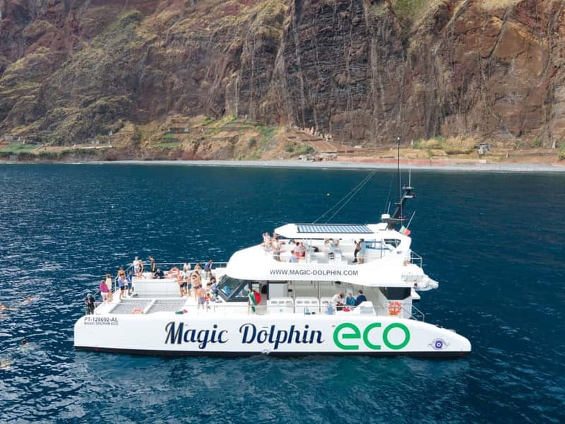 From Funchal: Ecological Catamaran Dolphin Whale Watching - Key points to know before you book