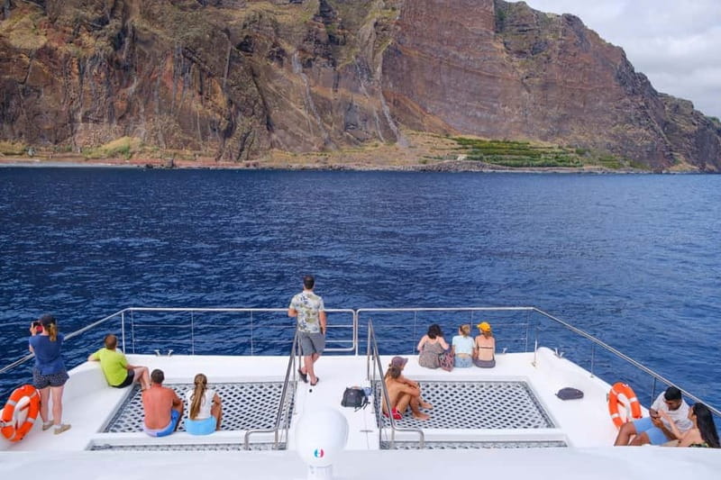 From Funchal: Ecological Catamaran Dolphin Whale Watching - Setting out from Funchal Marina