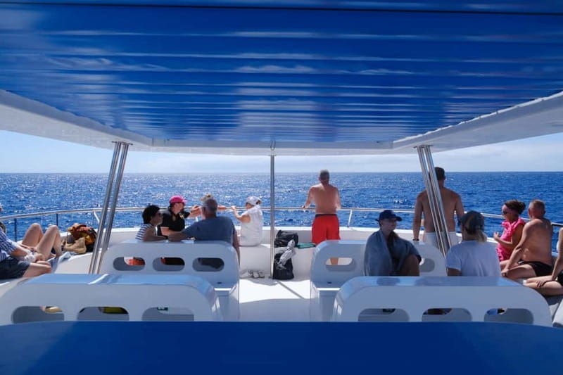 From Funchal: Ecological Catamaran Dolphin Whale Watching - The return along Madeira’s south coast