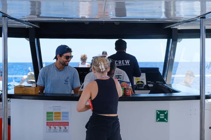 From Funchal: Ecological Catamaran Dolphin Whale Watching - Drinks, food, and practical comfort