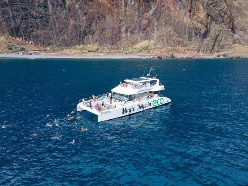 From Funchal: Ecological Catamaran Dolphin Whale Watching - Who should choose this cruise?
