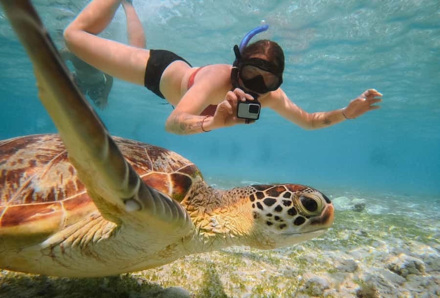 From Gili Trawangan: Gili Islands Snorkeling Boat Tour - Key details before you book