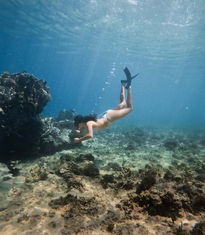 From Gili Trawangan: Gili Islands Snorkeling Boat Tour - Who will enjoy this tour most?