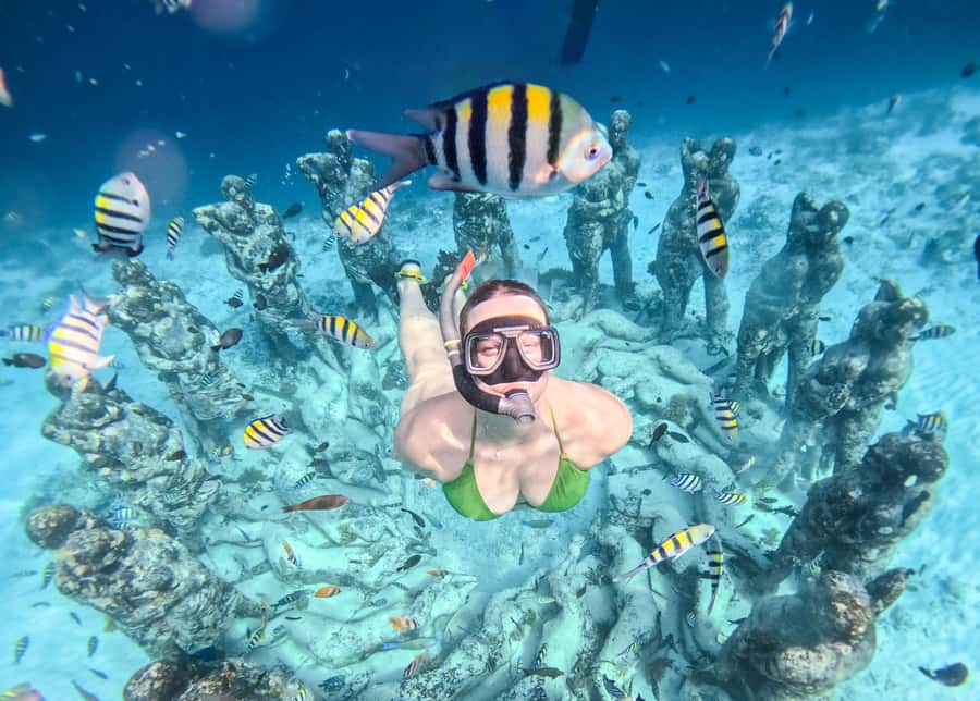 From Gili Trawangan: Gili Islands Snorkeling Boat Tour - What this Gili Trawangan boat trip is really like