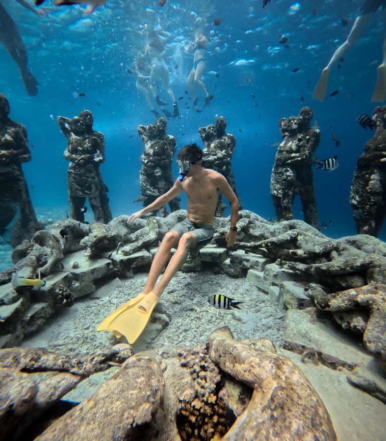 From Gili Trawangan: Gili Islands Snorkeling Boat Tour - Is the $14 price good value?