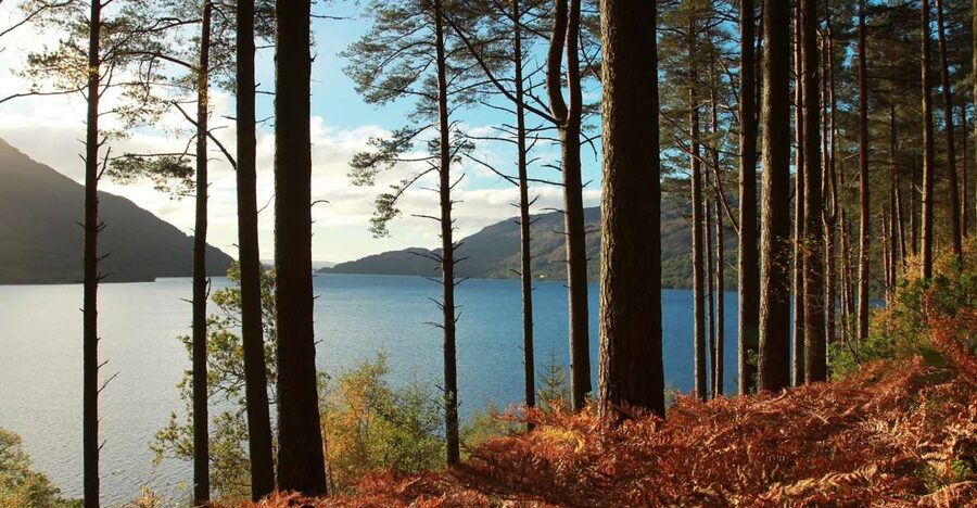 From Glasgow: Stirling Castle & Loch Lomond Tour with Cruise - Stirling Castle and Scotland’s royal stage