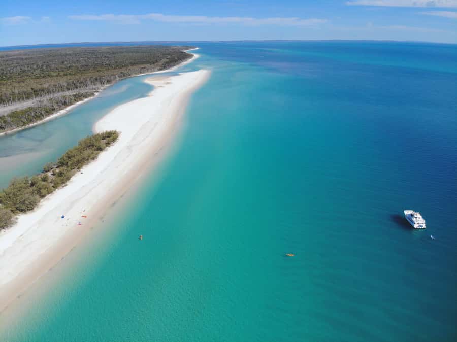 From Hervey Bay: Half-Day K'gari Fraser Island Beach Cruise - Choosing between K’gari’s west coast and Pelican Banks