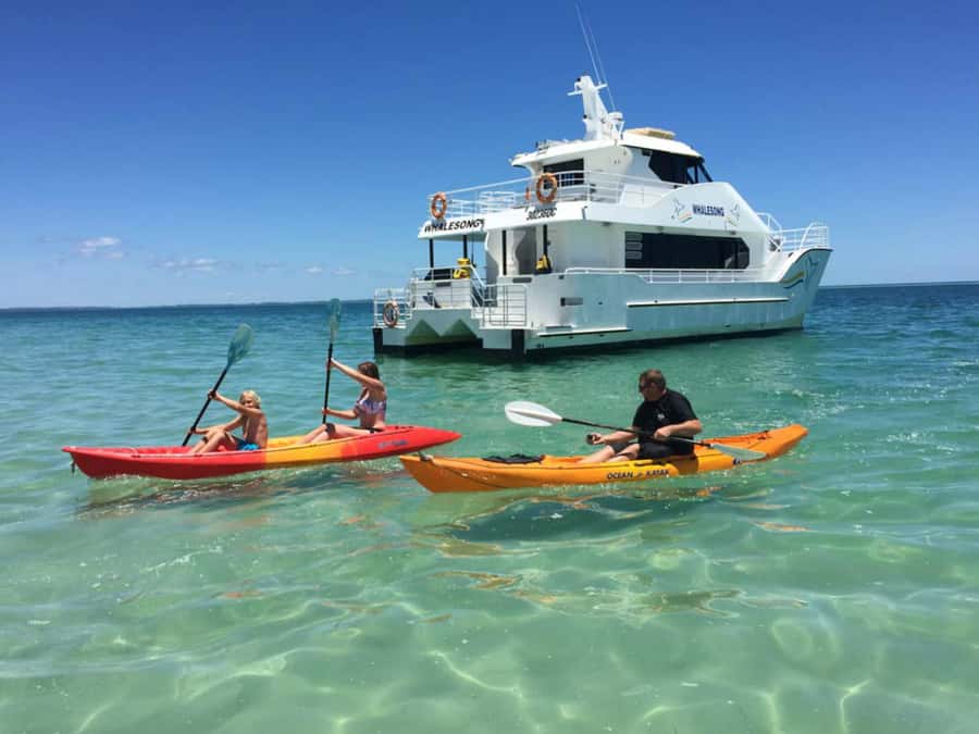 From Hervey Bay: Half-Day K'gari Fraser Island Beach Cruise - Who will enjoy this cruise most?