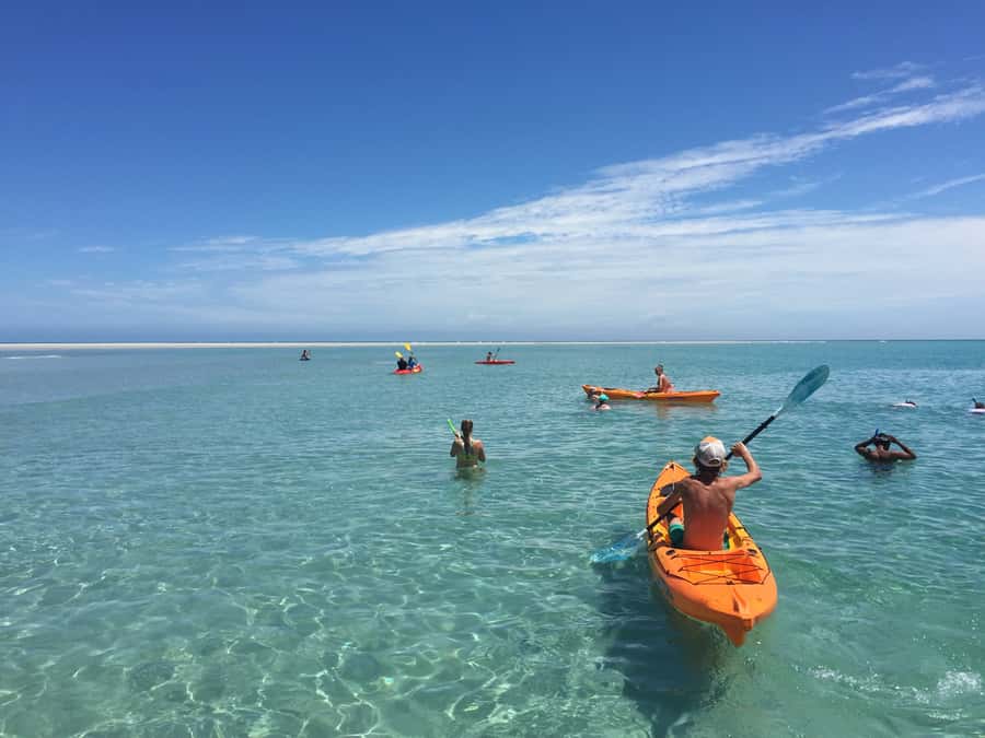 From Hervey Bay: Half-Day K'gari Fraser Island Beach Cruise - Watching for dolphins, turtles, and dugongs
