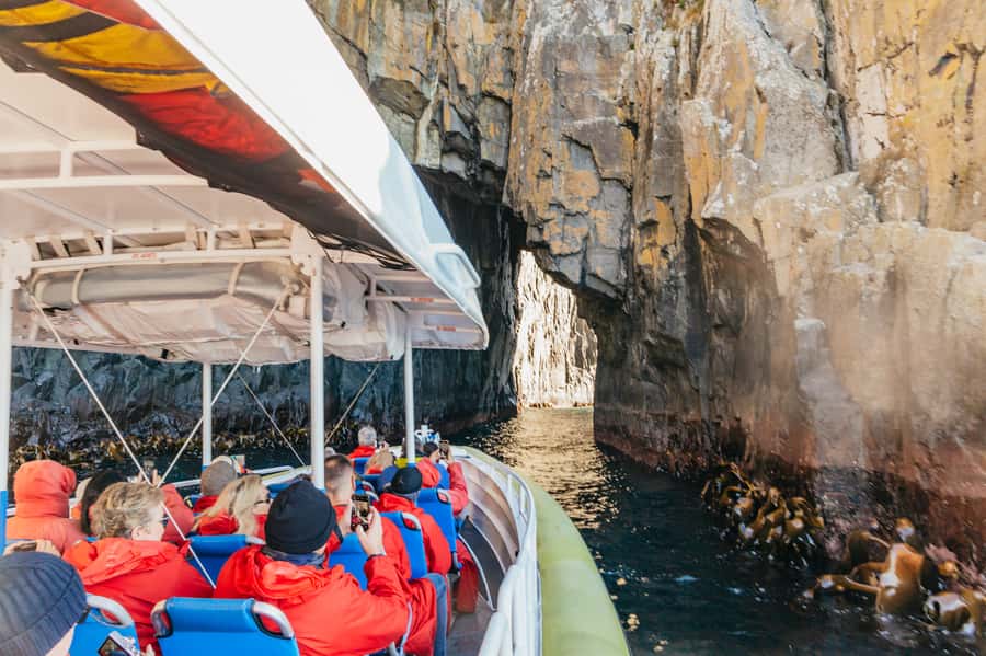 From Hobart/Adventure Bay: Bruny Island Wilderness Cruise - Key things to know before you book