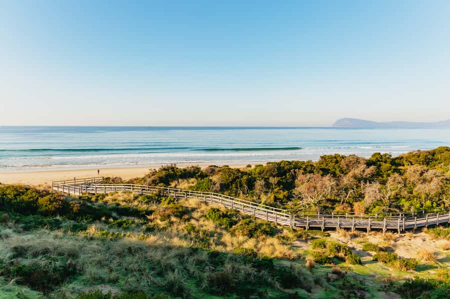 From Hobart/Adventure Bay: Bruny Island Wilderness Cruise - Should you book the Bruny Island Wilderness Cruise?