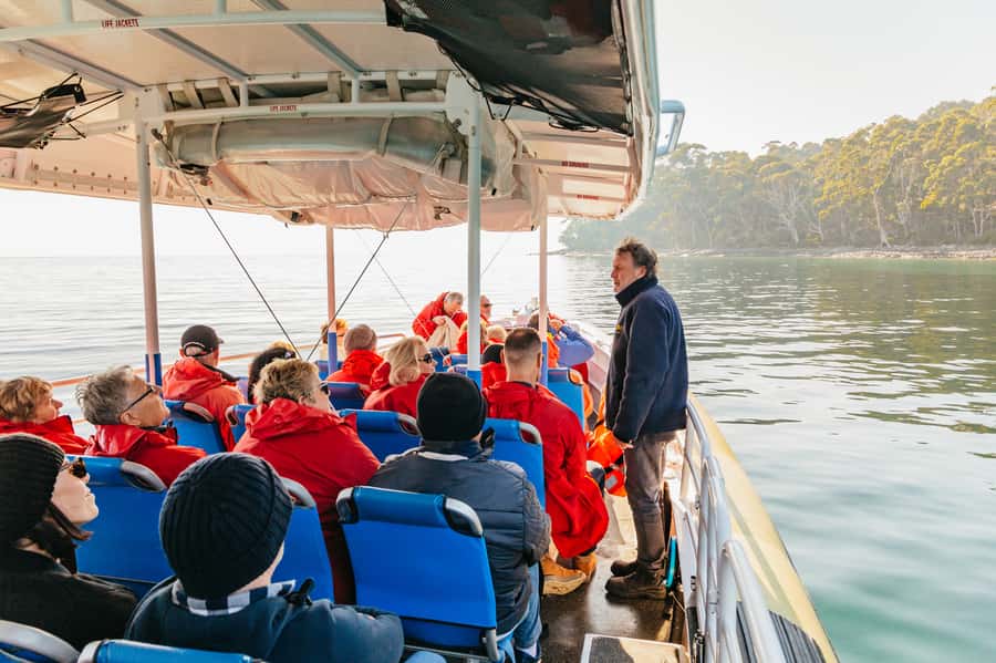 From Hobart/Adventure Bay: Bruny Island Wilderness Cruise - The Friars and Bruny’s marine wildlife