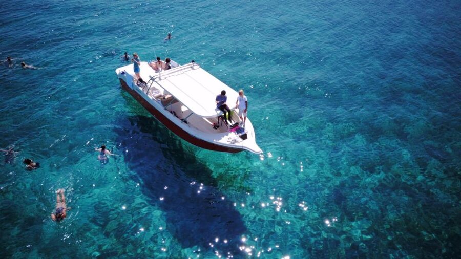 From Hvar: Vis Island and Blue Cave Speedboat Tour - Key points before you book