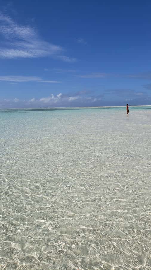 From Kendwa: Mnemba Boat Trip and Dolphin Snorkel Adventure - Key points before you book