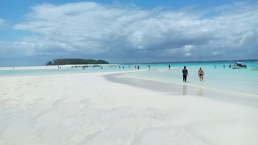 From Kendwa: Mnemba Boat Trip and Dolphin Snorkel Adventure - Should you book the Kendwa Mnemba boat trip?