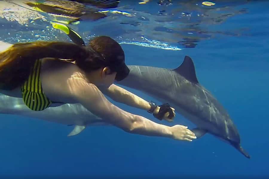 From Kendwa: Mnemba Boat Trip and Dolphin Snorkel Adventure - Setting out from Mama Mia in Kendwa