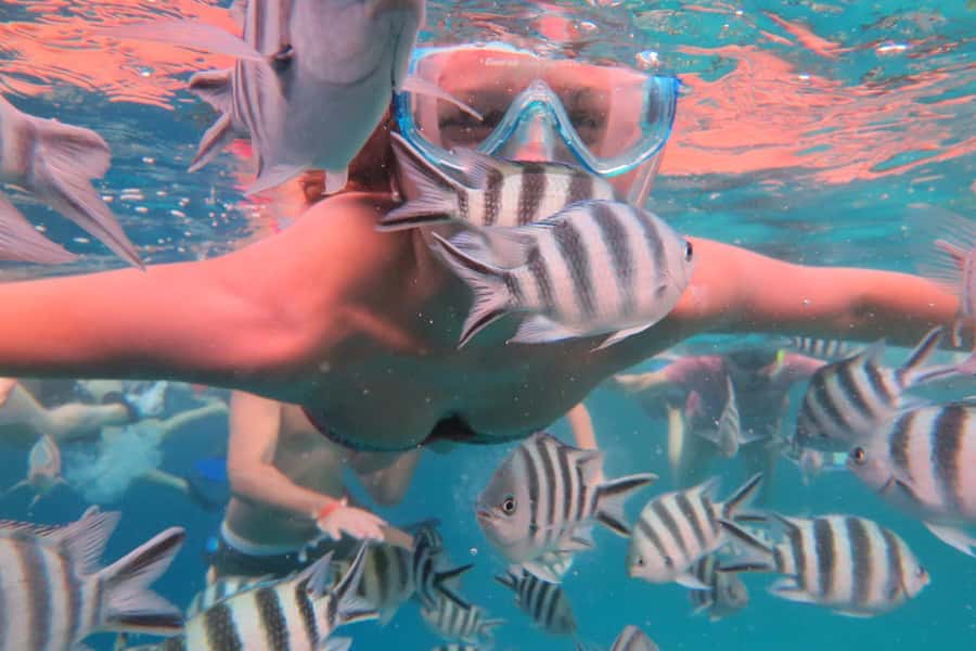 From Kendwa: Mnemba Boat Trip and Dolphin Snorkel Adventure - Who will enjoy this Mnemba trip most