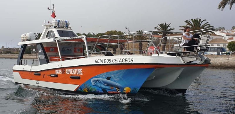 From Lagos: Benagil Caves Catamaran Cruise - What the Catamaran Is Like Onboard