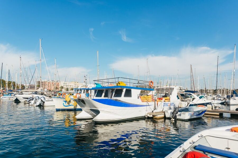 From Lagos: Kayaking and Boat Cave Explorer Tour - How to make the most of the two hours