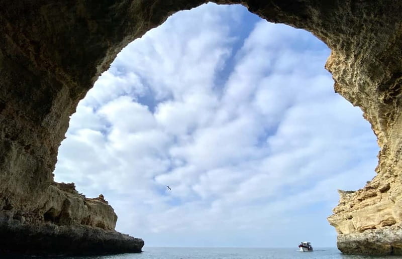 From Lagos: Scenic Cruise to the Benagil and Carvoeiro Caves - Comfort, safety, and who should book