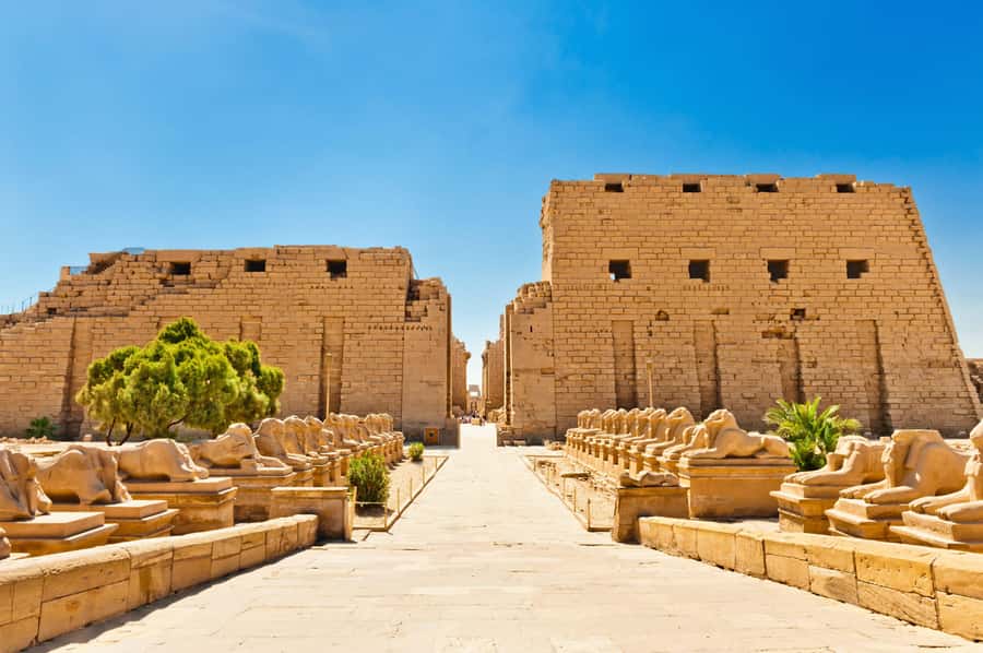 From Luxor: 3-Night Nile Cruise to Aswan and Hot Air Balloon - Guides, communication, and the human side