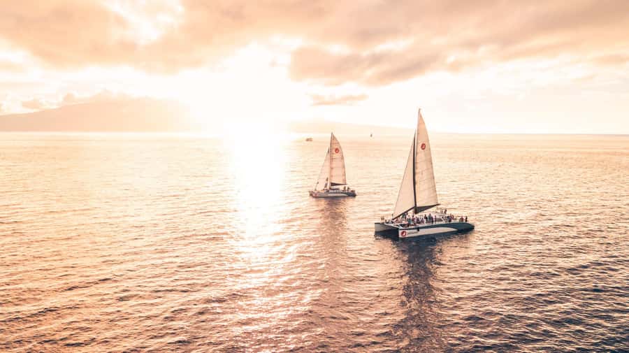 From Ma'alaea: 'Alihilani Sunset Sail Catamaran Tour - The Crew Makes the Evening Work