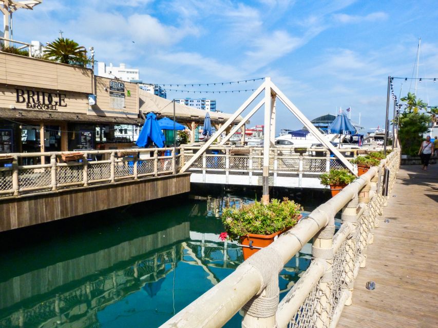 From Malaga: Day trip to Gibraltar and Dolphin Boat Tour - What to bring and how to plan the day